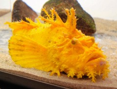 ９４兆８４８億円