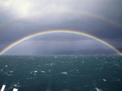 このベスト９は？