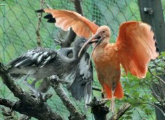 ９８万６２９１円