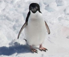 俺だけ、あたしだけ