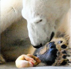 来年を考える-5／検察・警察とマスコミ