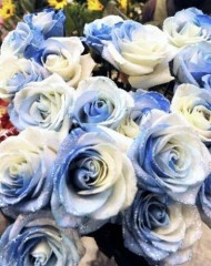 来年を考える-8／トヨタの次もある