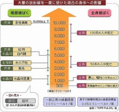 外国と日本の報道の違い