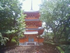 今日は浜松に来ています。その2