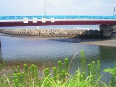 昨日は仕事でバタバタで日記書けず(￣～￣) ξ