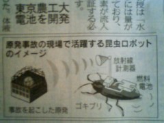 ゴキブリを「原発事故ロボ」に! ?
