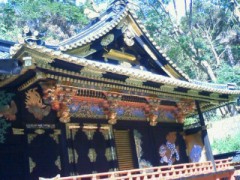 久能山東照宮へ行って来ました( ´∀｀）