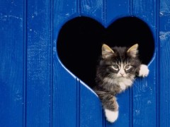 【お題日記】今の恋人と過去の人を比べる？