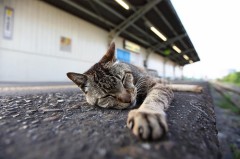 【お題日記】仕事中の密かな楽しみ