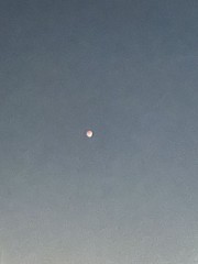 【お題日記】ムードを作る時はどうしてる？