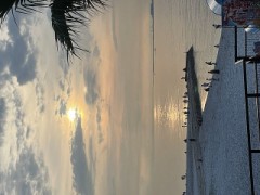 【お題日記】子供の頃から変わってないこと