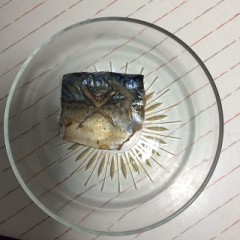 今日の晩御飯は