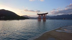 また行きたいな