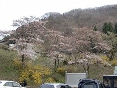 【お題日記】日頃心がけているメール作法
