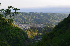 【お題日記】シングルズバー行ってみたい？