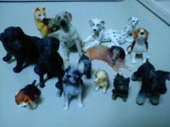 今日は寒いですね。