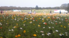 日曜日の過ごし方。