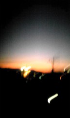 心が洗われる。