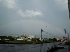 虹を見ました。