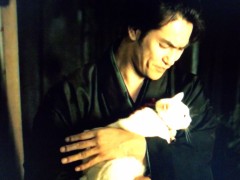 ついに猫侍が、、、。