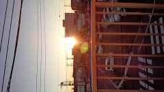 サンドイッチorおせち料理。