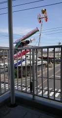 鯉のぼりを上げました！