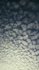 もう10月ですね