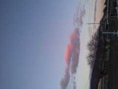 言葉を飼いならす