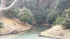 【お題日記】最近自然に触れましたか？