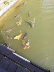 【お題日記】どこでHすることが多い？