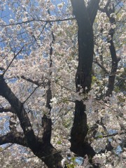 【お題日記】メールやLINEでHな会話したことある？