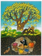 インフルエンザ注意報