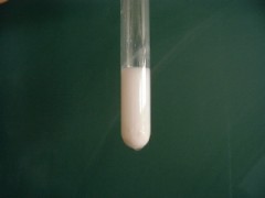 デジカフェの解析結果