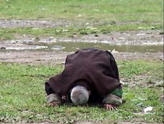 sexiiについて、よく知ってる方おりましたら教えて下さい