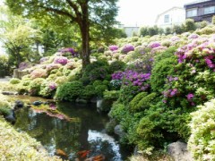 根津つつじ祭り
