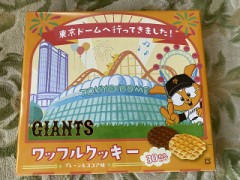 ○○に行ってきましたシリーズ