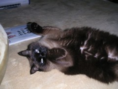 結局ずーーーっと一緒ｗ