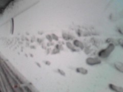 独眼竜は天に昇る