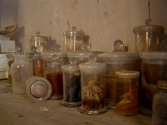 コンタクトは宇宙服を脱いで