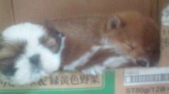 【お題日記】バレンタインドキドキ体験談