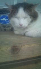 お金の有効な使い方…