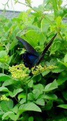 ボッタクリと思った事……