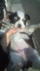 何度でも食べたくなるメニュー…