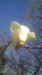 人生観が変わった事…