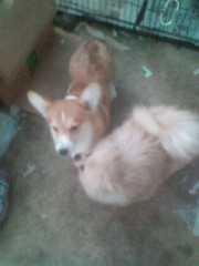 思い出の卒業ソング…