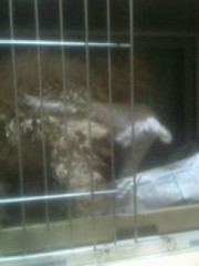 無修正ハメ撮り画像