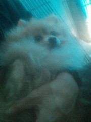 最近ついた嘘…