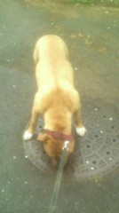 恋人の友人と…