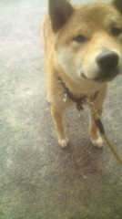 Hのあとは眠く…