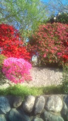 現実化したい夢